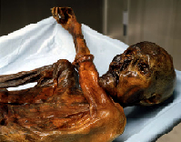 Mummified corpse of Ötzi the Iceman.